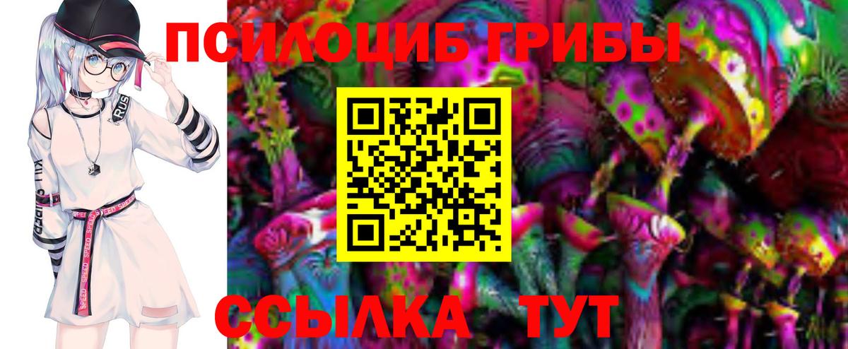 Менделеевск  Галлюциногенные грибы мицелий  Вход с VPN  Псилоцибиновые грибы GOLDEN TEACHER 
