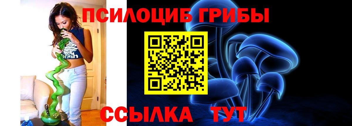 Галлюциногенные грибы Psilocybe Менделеевск